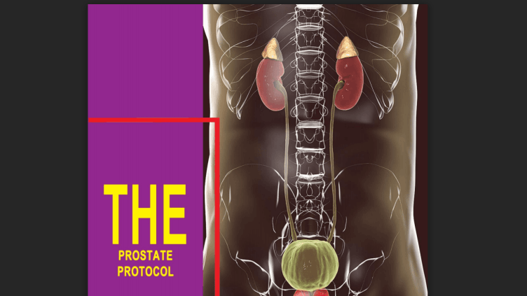The Prostate Protocol